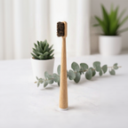 Eco Family Toothbrush (Set of 4)