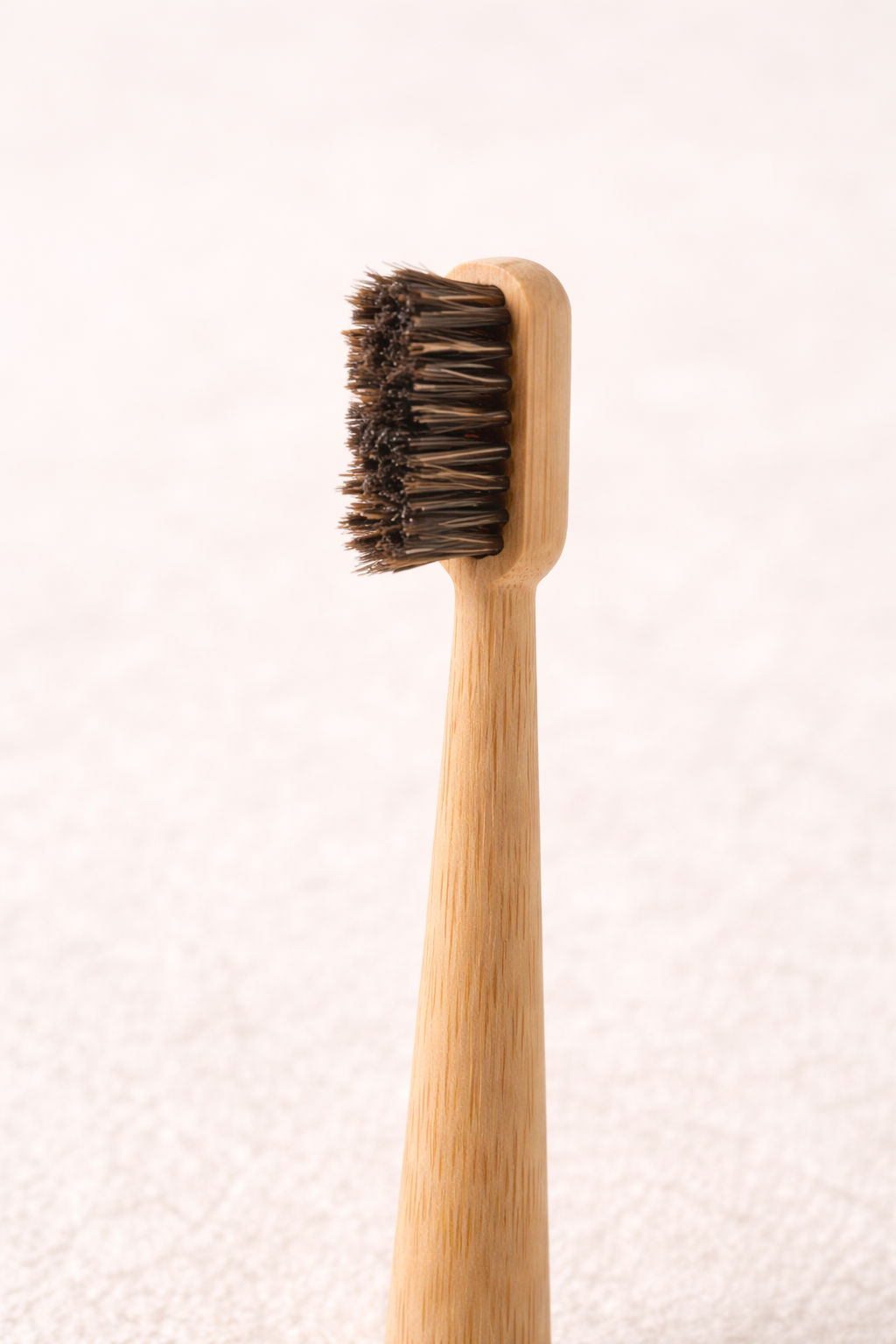 Eco Family Toothbrush (Set of 4)