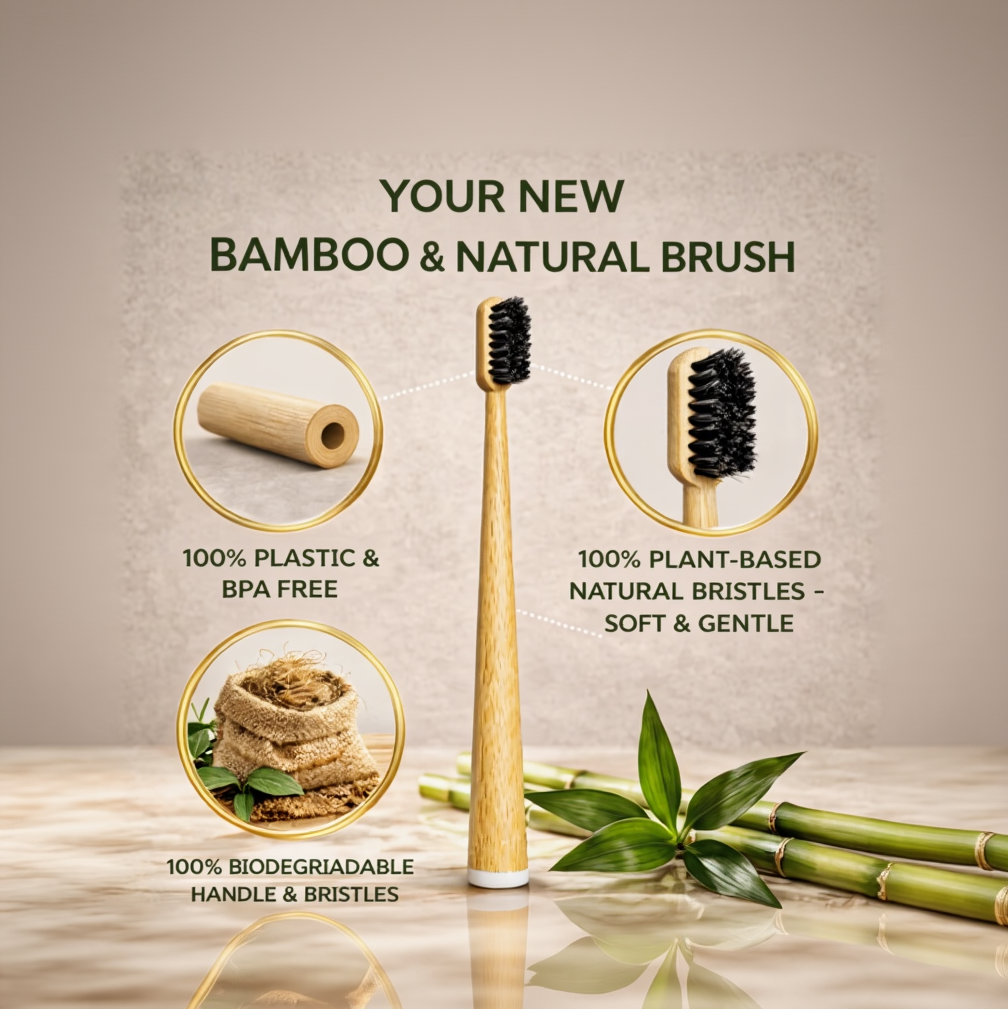 Eco Family Toothbrush (Set of 4)