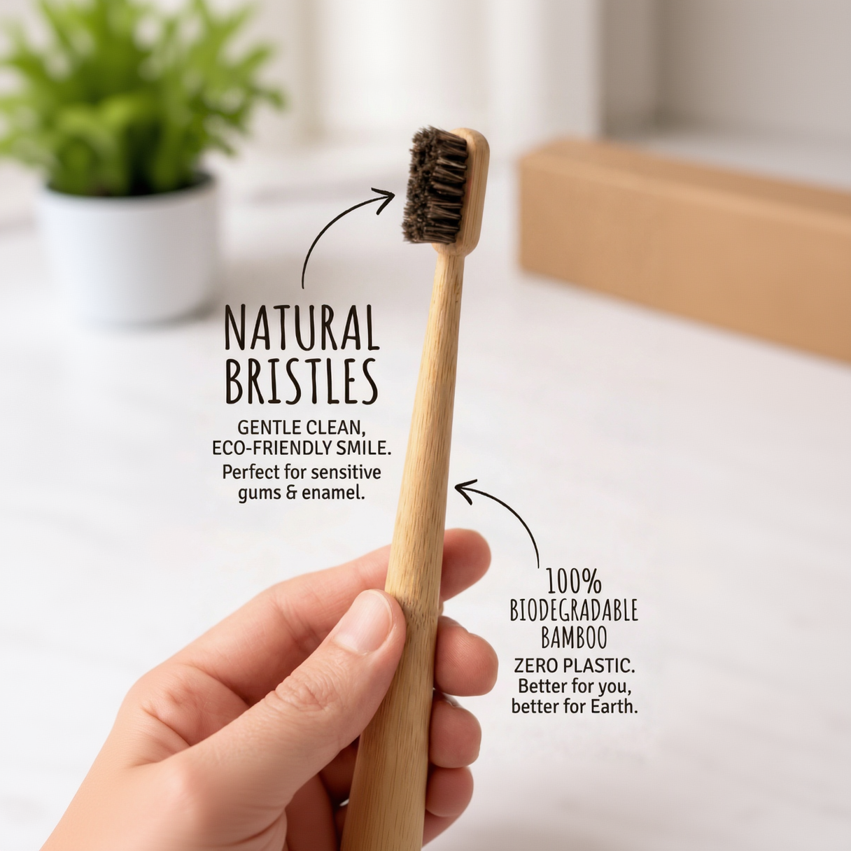 Eco Family Toothbrush (Set of 4)